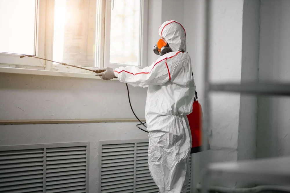 Professional mold remediation services in Ocean City, NJ